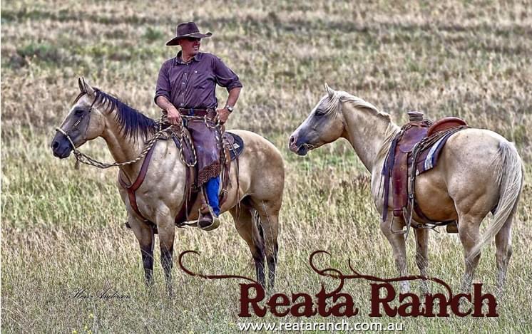 Reata Ranch Horsemanship | 414 Wisemans Arm Rd, Garthowen NSW 2345, Australia | Phone: 0407 731 167