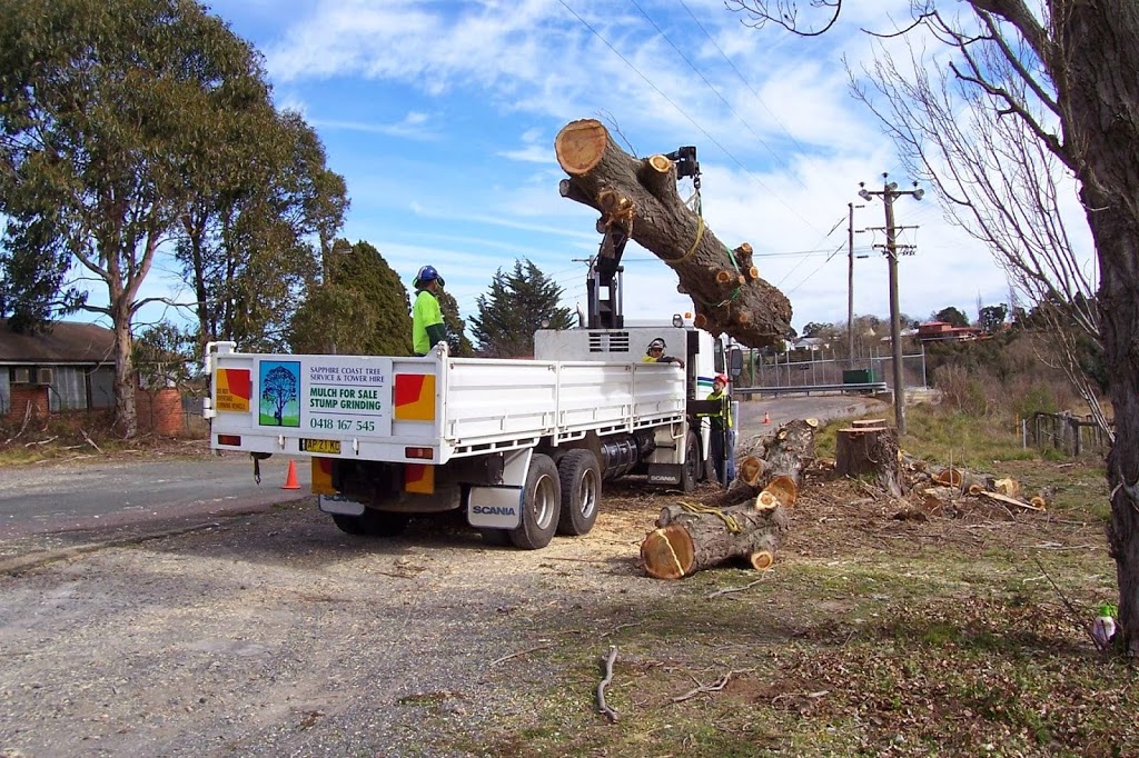 Sapphire Coast Tree Service & Tower Hire | 16 Drive in Rd, South Pambula NSW 2549, Australia | Phone: (02) 6495 7811