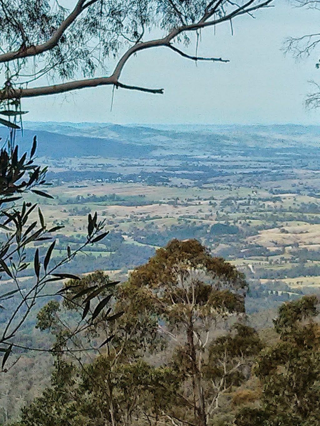 South East Forests National Park | Mount Darragh Road, Coolangubra NSW 2550, Australia | Phone: (02) 6495 5000