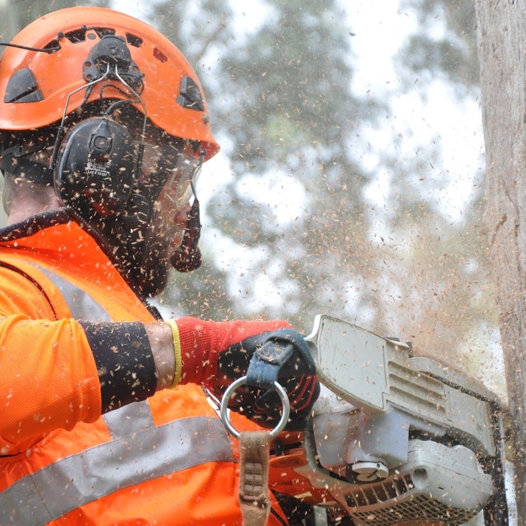 J&R Tree and Property Maintenance |  | Healesville VIC 3777, Australia | 0487746381 OR +61 487 746 381