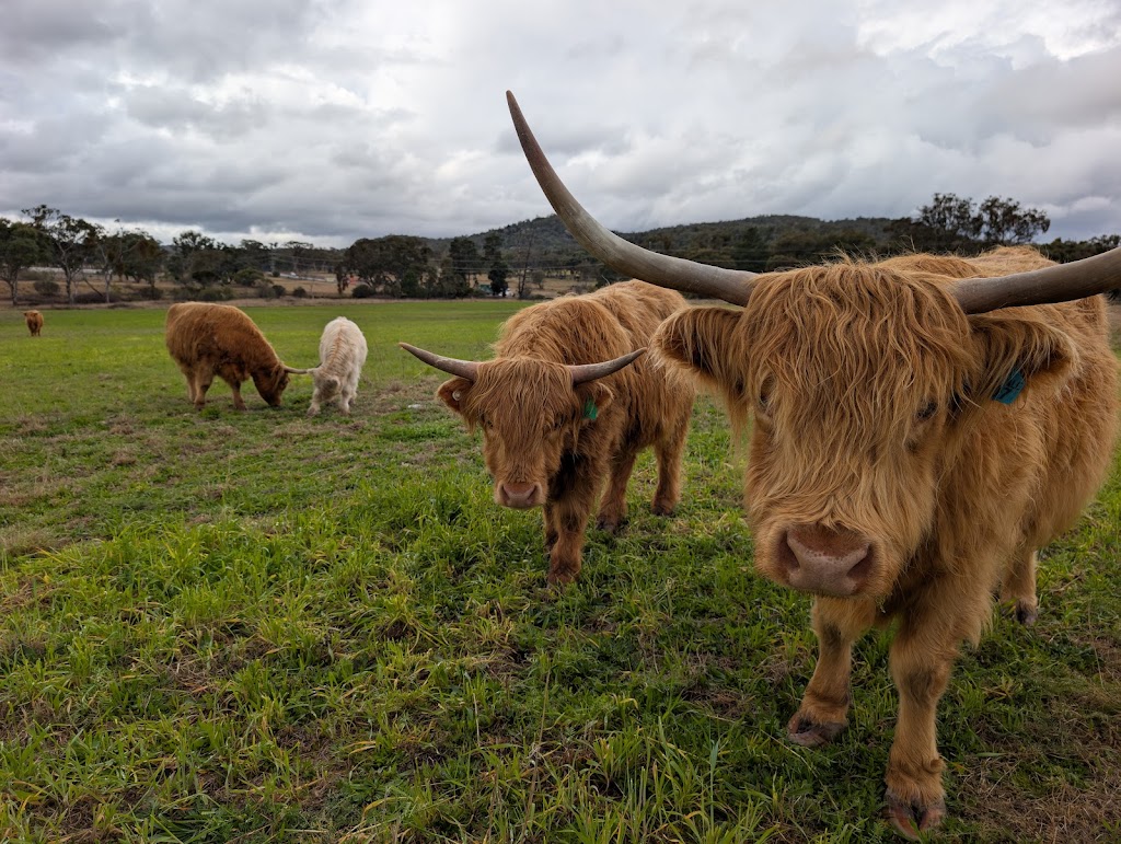 Rock Pool Park | 28064 New England Hwy, Ballandean QLD 4382, Australia | Phone: (07) 5641 0291