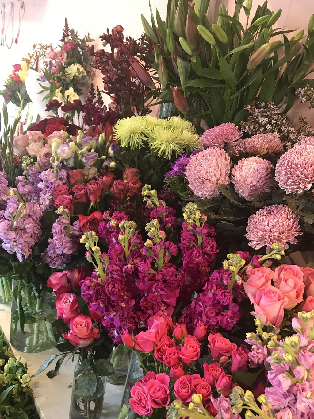 Cabbages Flower Shop | florist | 1/25 Cambridge Rd, Bellerive TAS 7018, Australia | 0362450660 OR +61 3 6245 0660