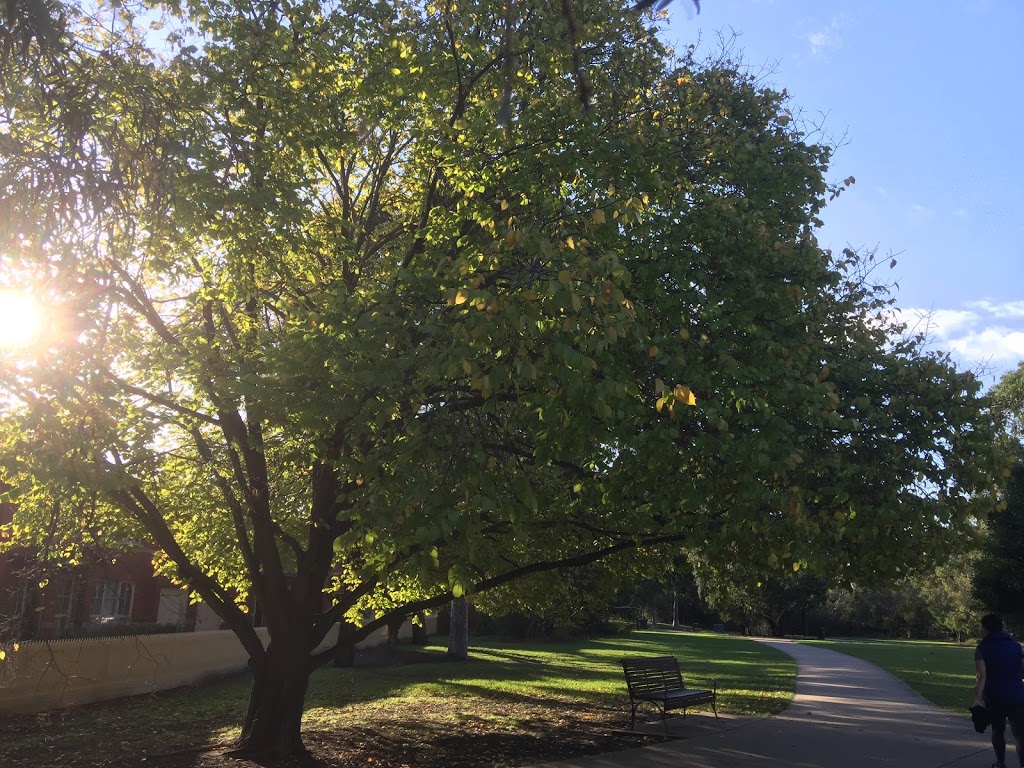 Outer Circle Railway Linear Park | park | 509 Neerim Rd, Murrumbeena VIC 3163, Australia