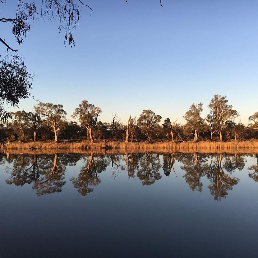 growAbility Nursery, Milduras social enterprise nursery | 363 Cureton Ave, Mildura VIC 3500, Australia | Phone: (03) 5021 4117