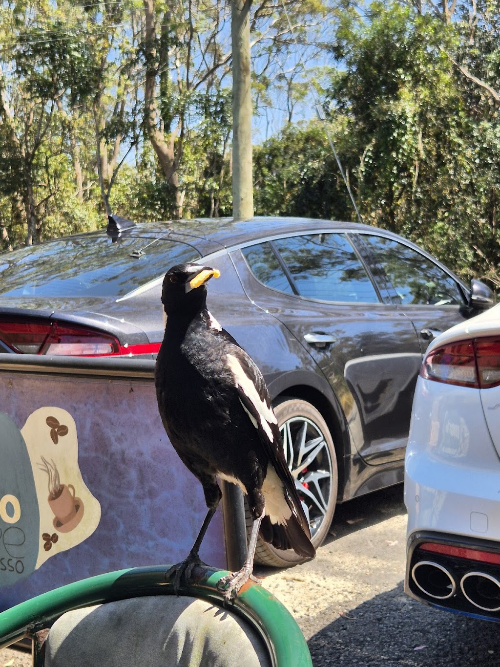 J.M. JONES tearooms | 1 Fernlands Rd, Mount Nebo QLD 4520, Australia | Phone: (07) 3289 8126