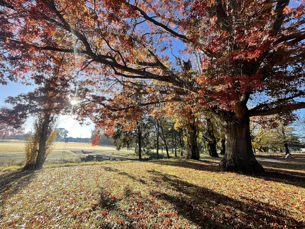 The Workers Cottage | 6 Link St, Tenterfield NSW 2372, Australia | Phone: 0433 758 929