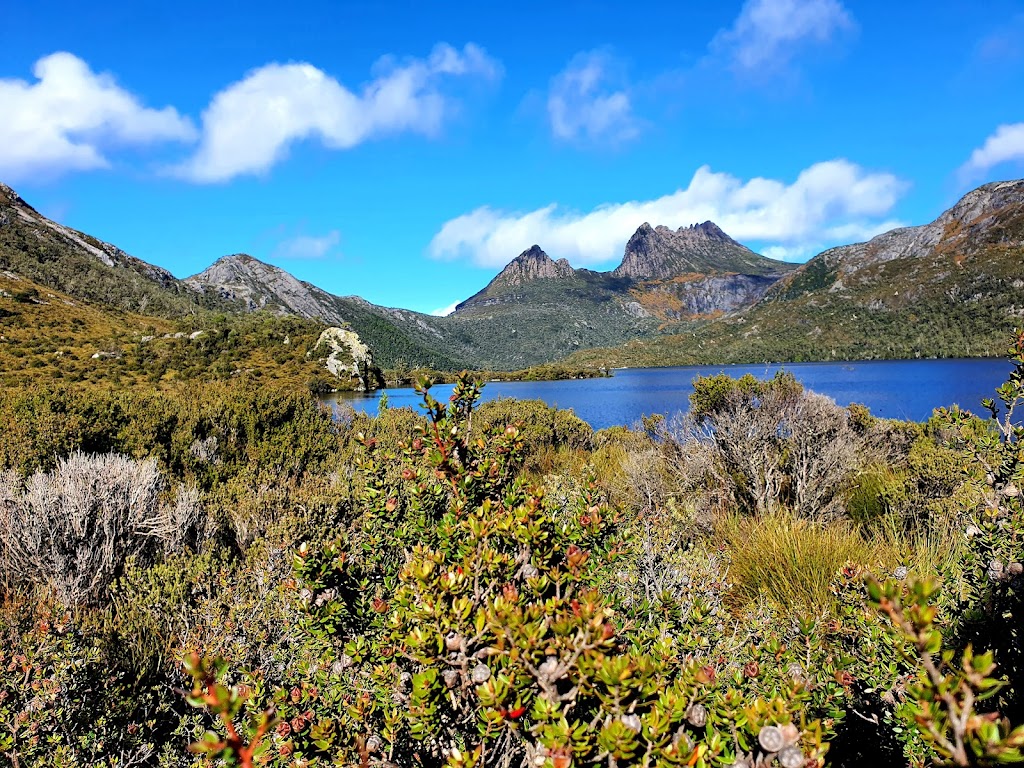 Discover Tasmania Tours | 13 William St, Westbury TAS 7303, Australia | Phone: 0447 673 459