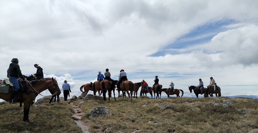 Snowy Range Horseback Tours | travel agency | Kelly Hut Track, Tamboritha VIC 3858, Australia | 0428321905 OR +61 428 321 905