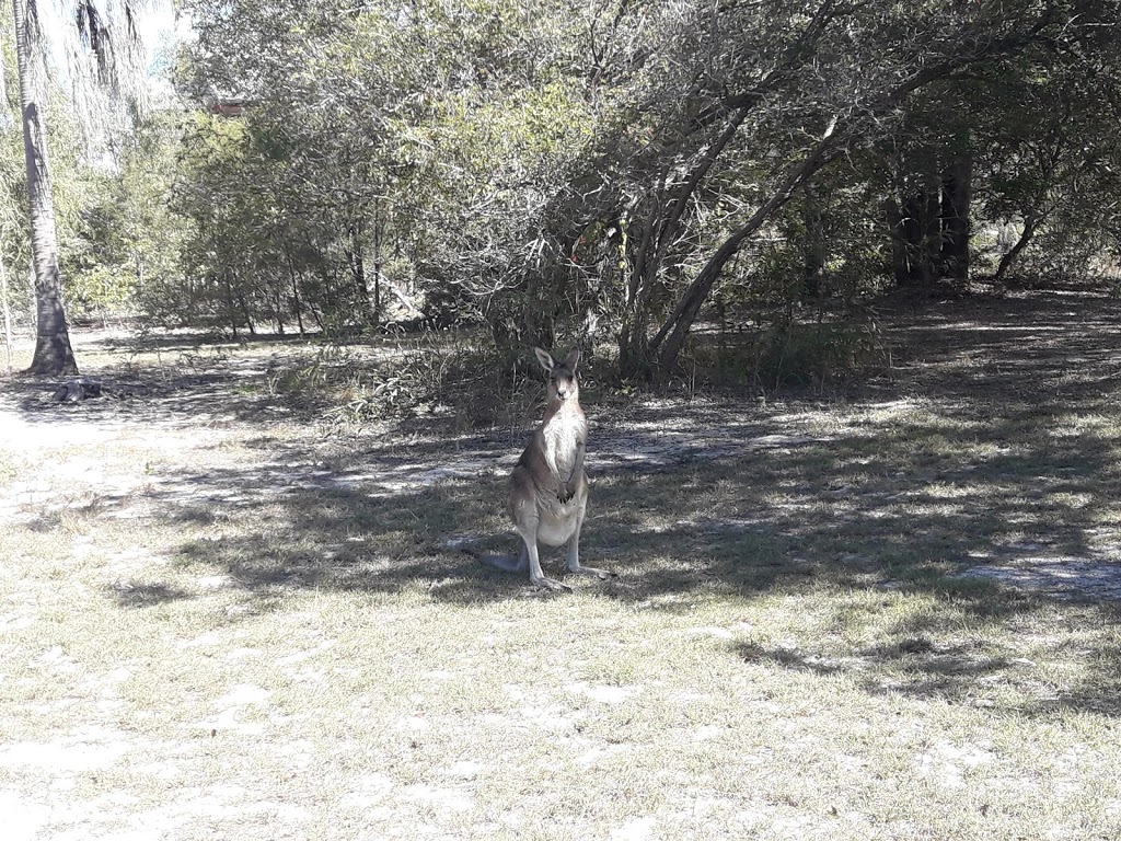 Banksia Park | park | 2 Esplanade, Woodgate QLD 4660, Australia