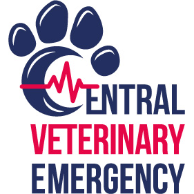 Central Veterinary Emergency | 9 Elizabeth St, Castlemaine VIC 3450, Australia | Phone: 0413 898 331