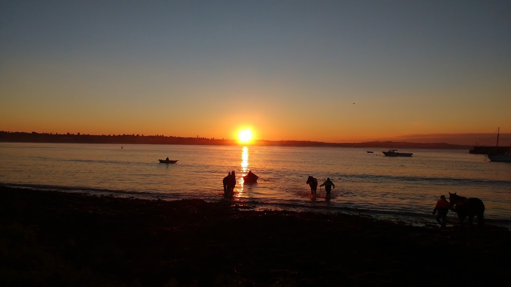 Lady Bay Warrnambool | store | Worm Bay Rd, Warrnambool VIC 3280, Australia