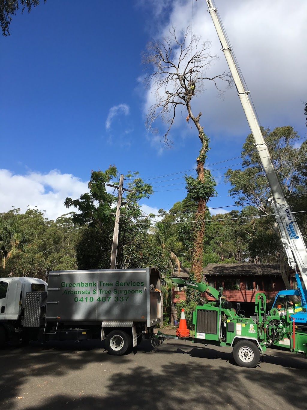 Greenbank Tree Services | 74 Elanora Rd, Elanora Heights NSW 2101, Australia | Phone: 0410 487 337
