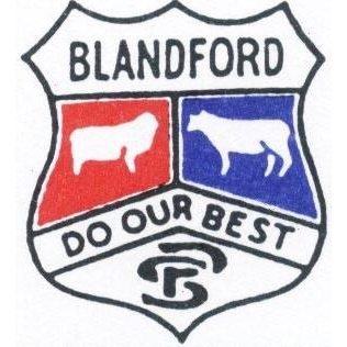 Blandford Public School | school | New England Hwy, Blandford NSW 2338, Australia | 0265466117 OR +61 2 6546 6117