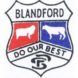 Blandford Public School | New England Hwy, Blandford NSW 2338, Australia | Phone: (02) 6546 6117