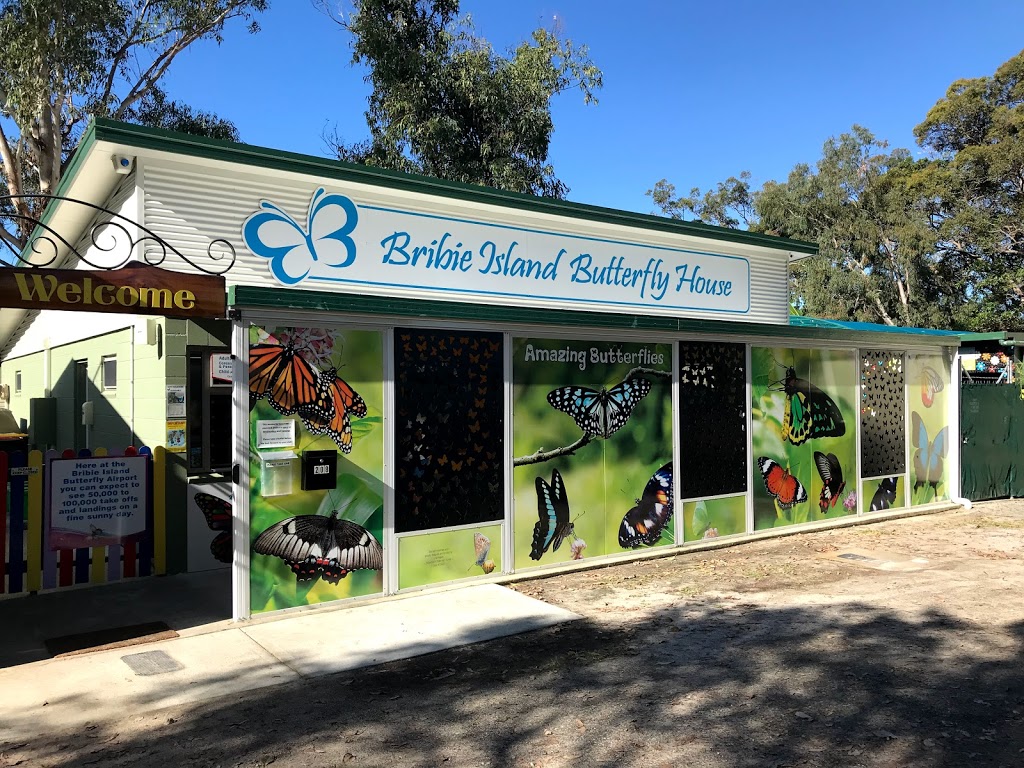 Bribie Island Butterfly House | 208 First Ave, Bongaree QLD 4507, Australia | Phone: 0459 104 174