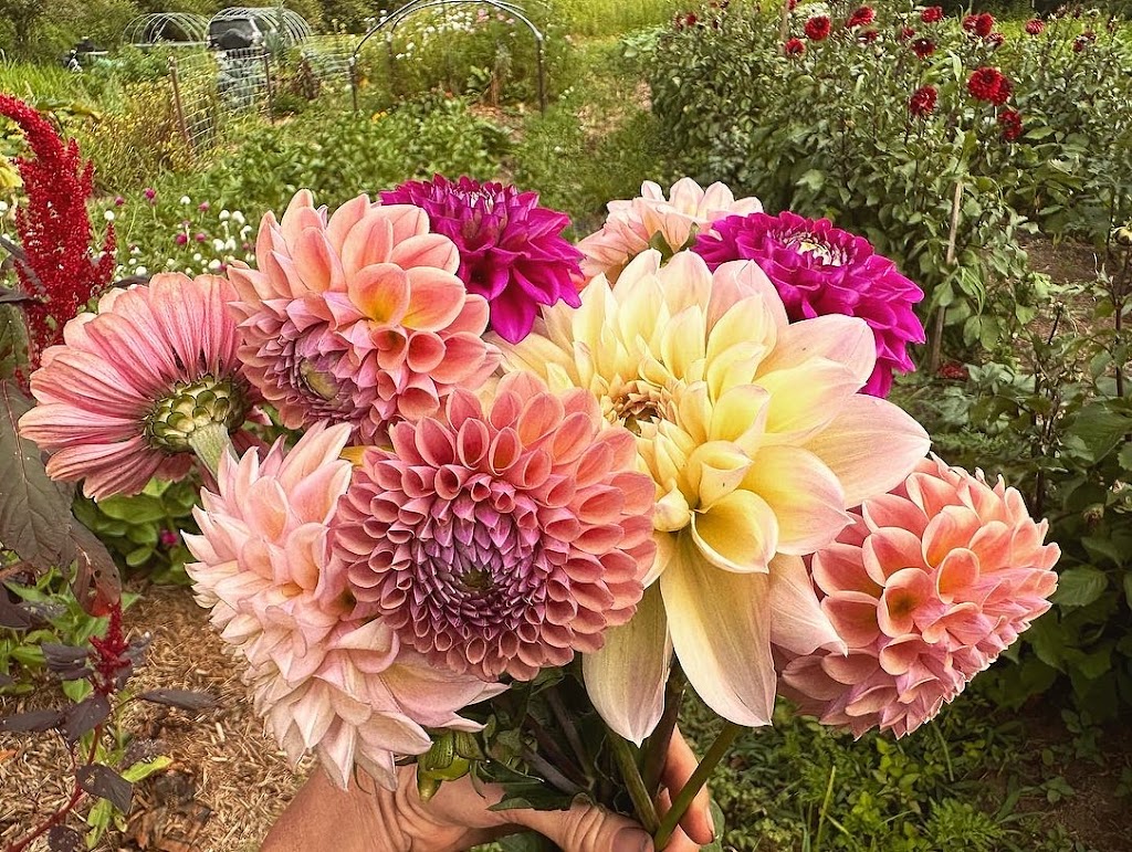 Flower Eros | Pinchin Rd, The Channon NSW 2480, Australia | Phone: 0457 729 862