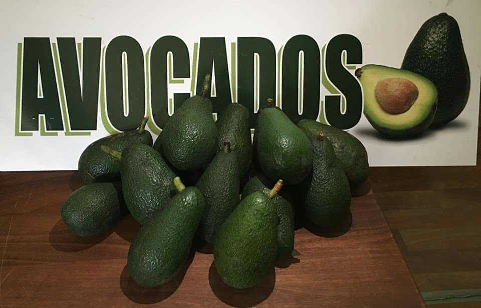 Farm Fresh Organic Avocados | 23 Judith St, Russell Island QLD 4184, Australia | Phone: 0413 273 967