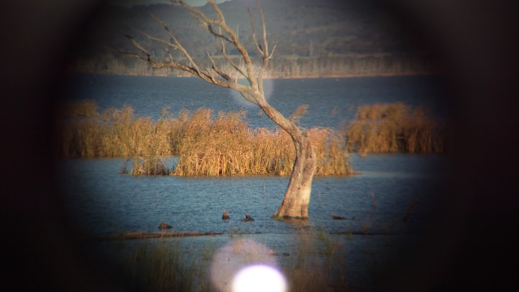 Winton Swamp Boatramp |  | 601 Lake Mokoan Rd, Chesney Vale VIC 3725, Australia | 0357611192 OR +61 3 5761 1192