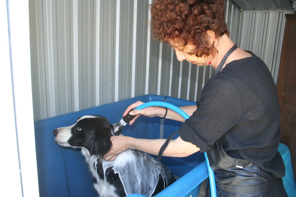 K9 Klips Dog Grooming Warwick | 125 Schoch Rd, Warwick QLD 4370, Australia | Phone: 0419 703 720