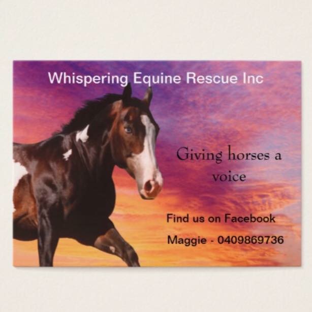Whispering Equine Rescue Incorporated |  | 548 Fortis Creek Rd, Fortis Creek NSW 2460, Australia | 0409869736 OR +61 409 869 736