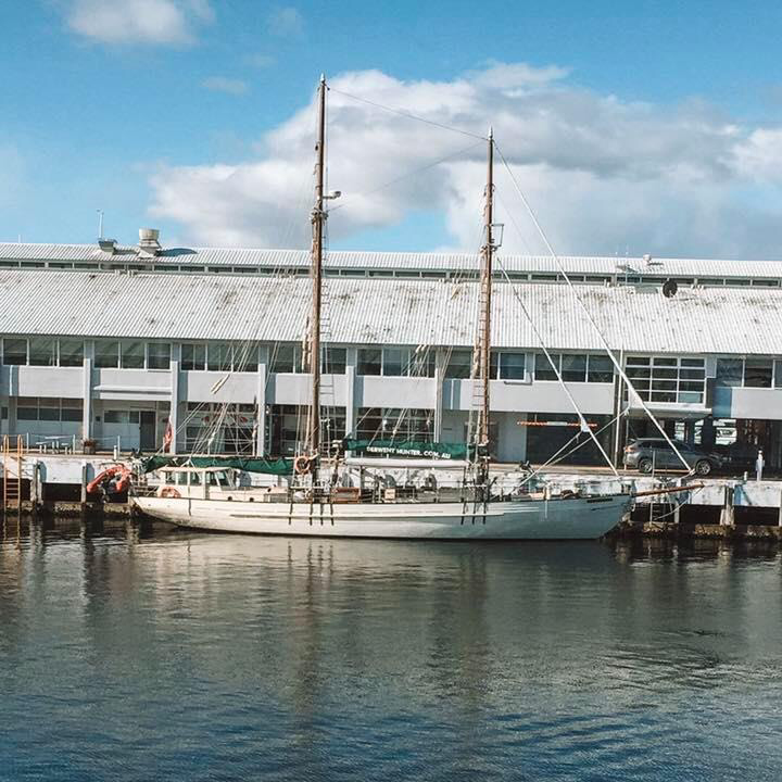 Tall Ship Adventures | Coral Sea Marina, Shingley Dr, Airlie Beach QLD 4802, Australia | Phone: 1800 334 773