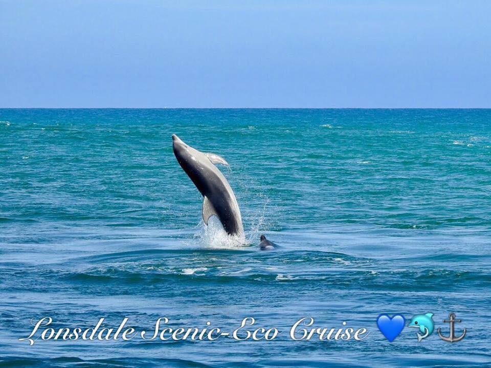 Lonsdale Eco Cruise | travel agency | Cunningham Quay Jetty, 340 Esplanade, Lakes Entrance VIC 3909, Australia | 0413666638 OR +61 413 666 638