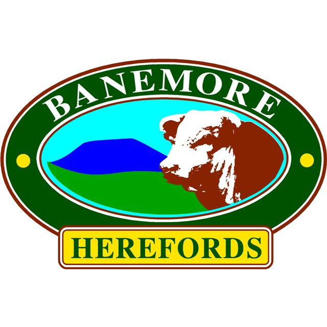 Banemore Herefords | 992 Twomeys Bridge Rd, Penshurst VIC 3289, Australia | Phone: 0407 504 899
