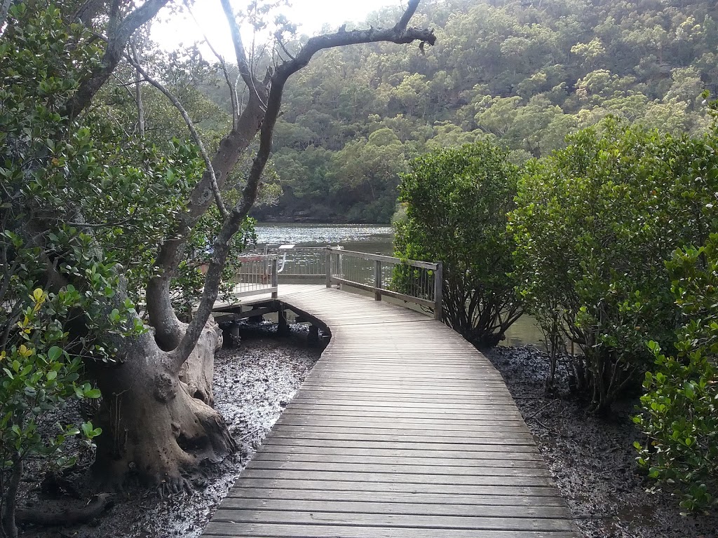 Mangrove Boardwalk | park | Mangrove Boardwalk, Mount Colah NSW 2079, Australia | 0294728949 OR +61 2 9472 8949
