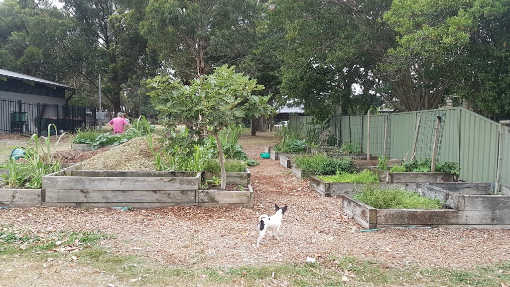 Islington Community Garden | Islington NSW 2296, Australia