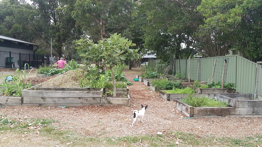 Islington Community Garden | park | Islington NSW 2296, Australia