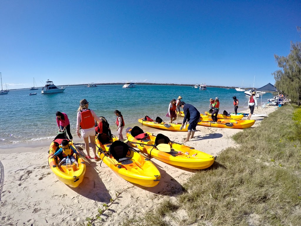 Seaway Kayaking Tours | travel agency | Marine Parade, Biggera Waters QLD 4216, Australia | 0449529251 OR +61 449 529 251