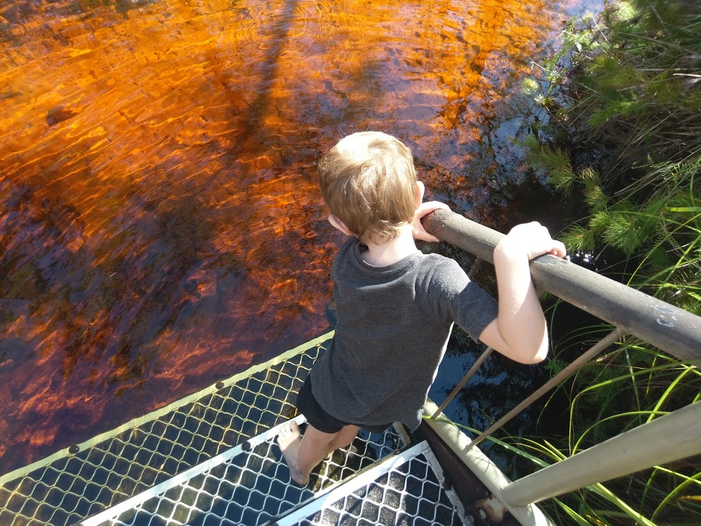 Searys Creek Day Use Area | Great sandy national park, Cooloola QLD 4580, Australia