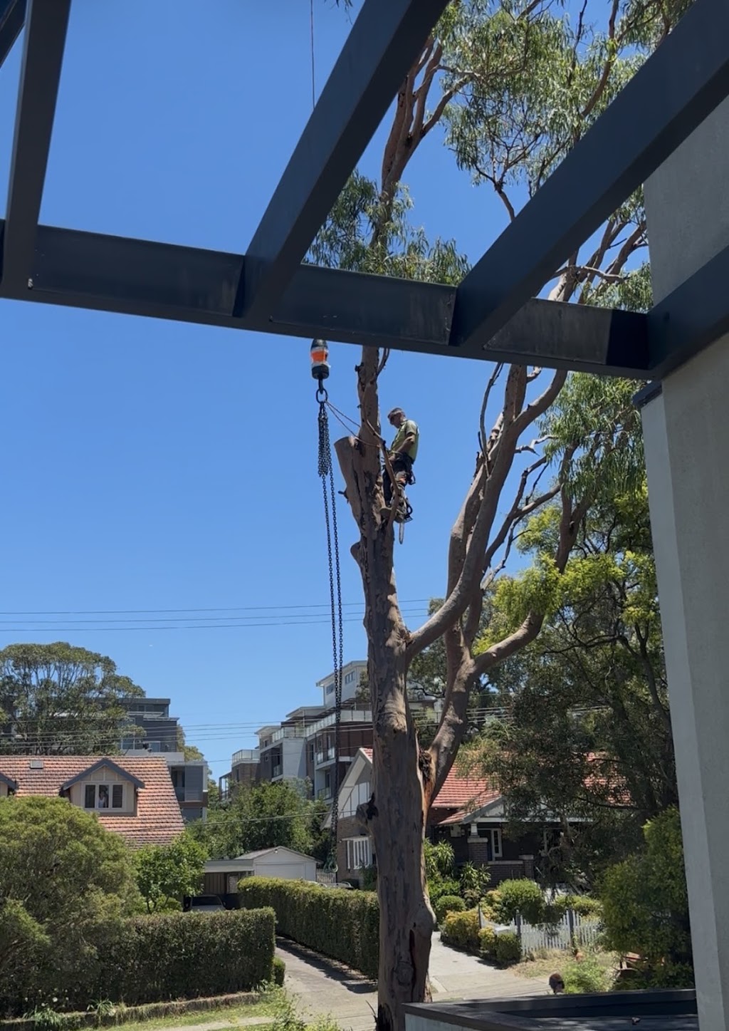 Fast Call Tree Service | 21 Geraldine Ave, Baulkham Hills NSW 2153, Australia | Phone: 1800 800 206