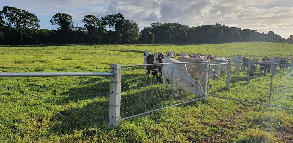 Australian Concrete Fence Posts | 354 Broadwater Rd, Dungarubba NSW 2480, Australia | Phone: (02) 6682 8614