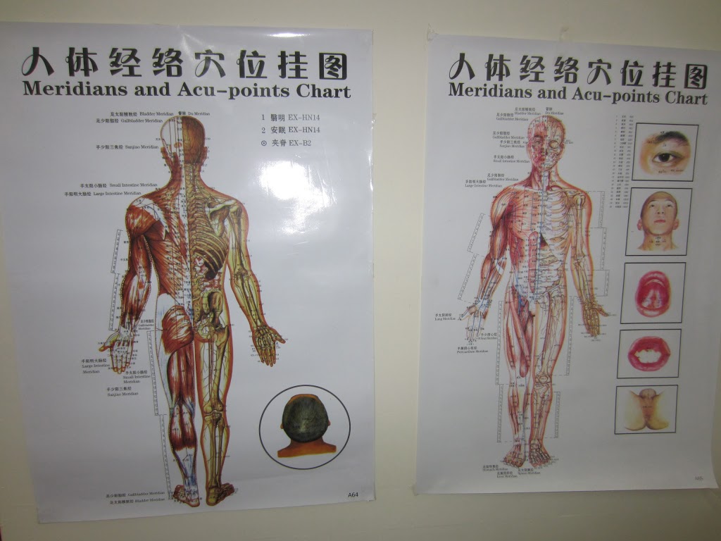 Toowoomba Chinese Acupuncture & Herbal Medicine Clinic | 5 Pottinger St, Newtown QLD 4350, Australia | Phone: (07) 4638 2885