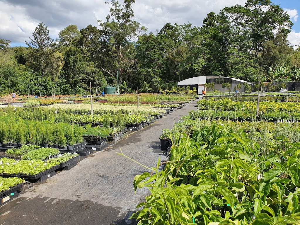 Spectrum Plants | 69 Currey Rd, Wongawallan QLD 4210, Australia | Phone: 0412 614 242