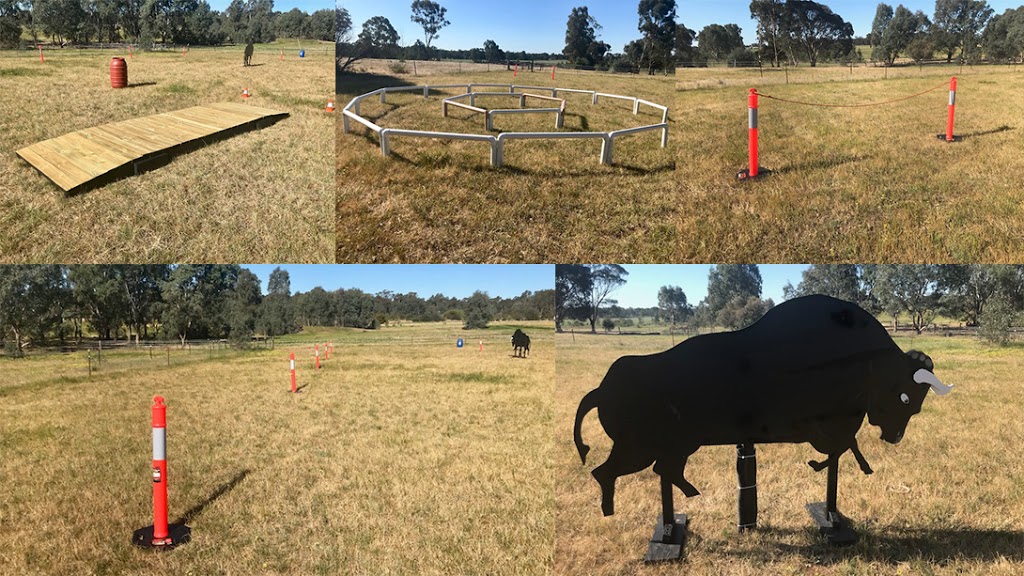 David Mellor Horsemanship | 2401 Strathfieldsaye Rd, Eppalock VIC 3551, Australia | Phone: 0427 393 144