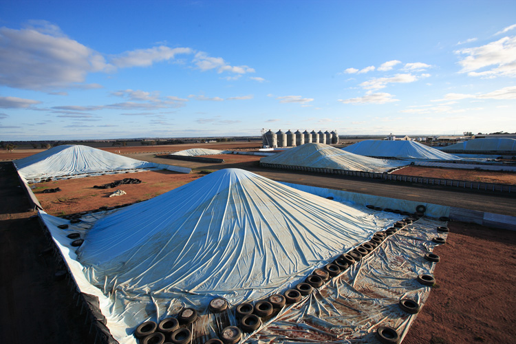 Nhill Bulk Handling | 4 Rethus Dr, Nhill VIC 3418, Australia | Phone: (03) 5391 1855