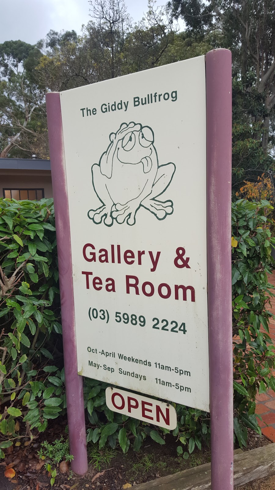 The Giddy Bullfrog Gallery | art gallery | 38 Ocean View Ave, Red Hill South VIC 3937, Australia | 0359892224 OR +61 3 5989 2224