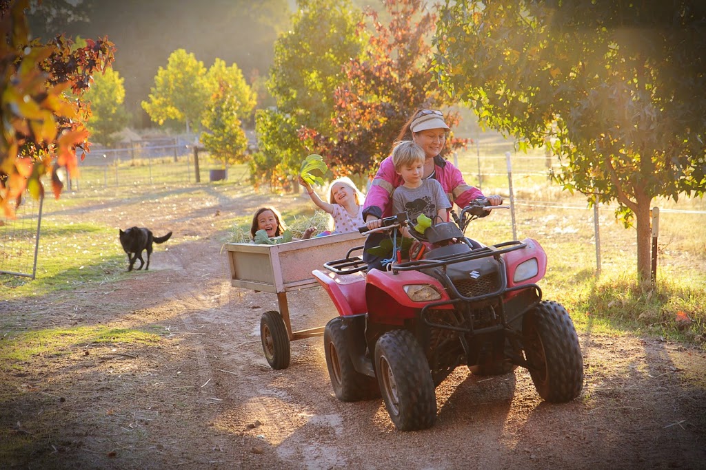 Gumleaf Cottage Farmstay | 1475 Brooking Rd, Hovea WA 6071, Australia | Phone: 0407 429 041