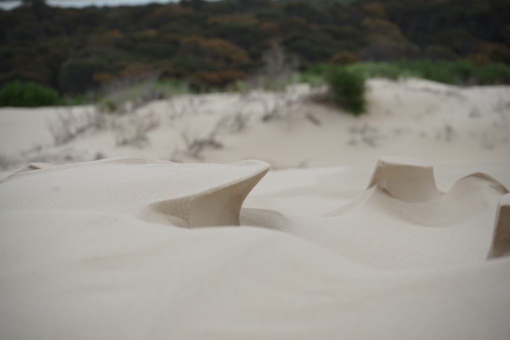 Peron Dunes | park | Akaroa TAS 7216, Australia