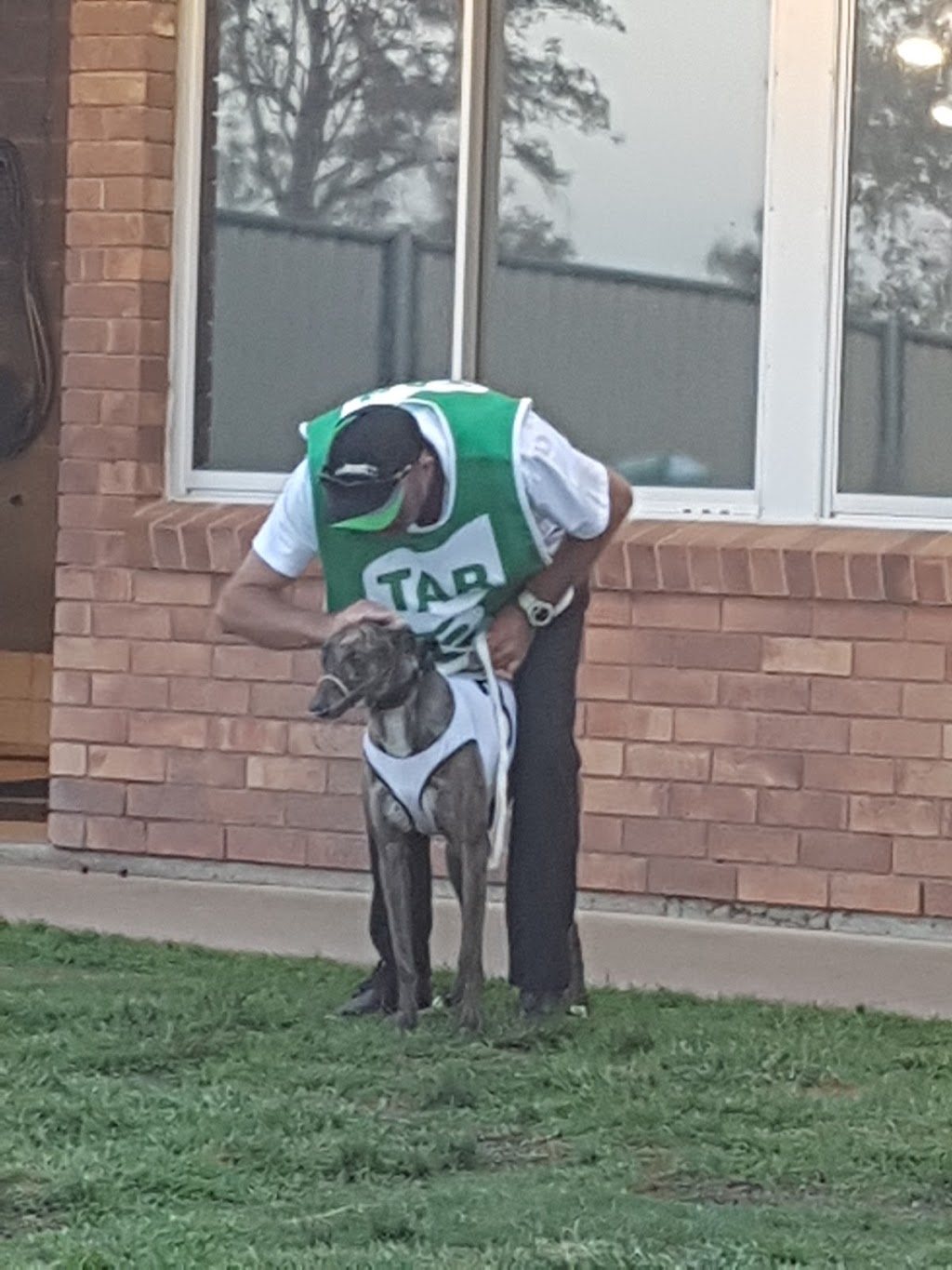 Ipswich Greyhound Racing Club Inc. | 81 Warwick Rd, Ipswich QLD 4305, Australia | Phone: (07) 3202 2977