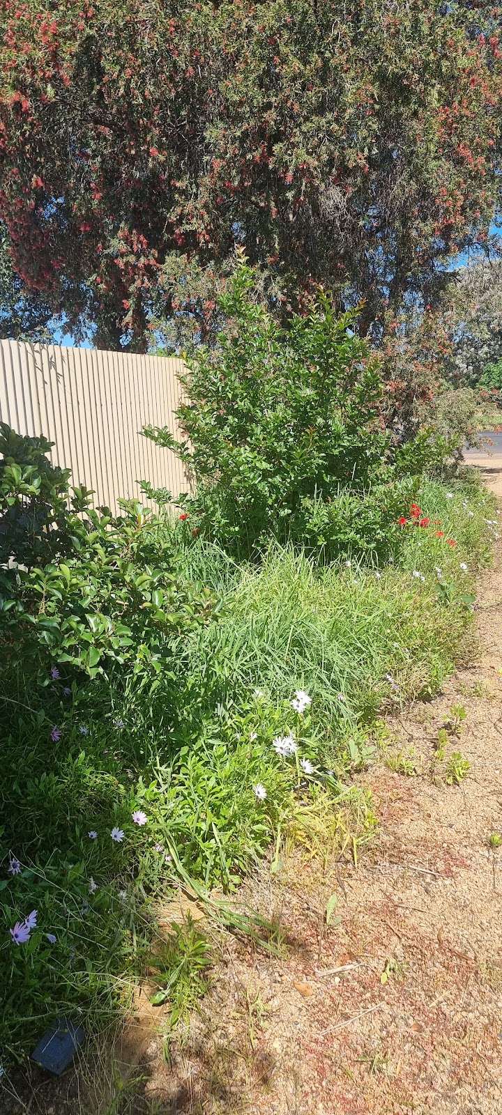 Panjab Lawn Care | 22a Biara St, Bargo NSW 2574, Australia | Phone: 0403 798 905