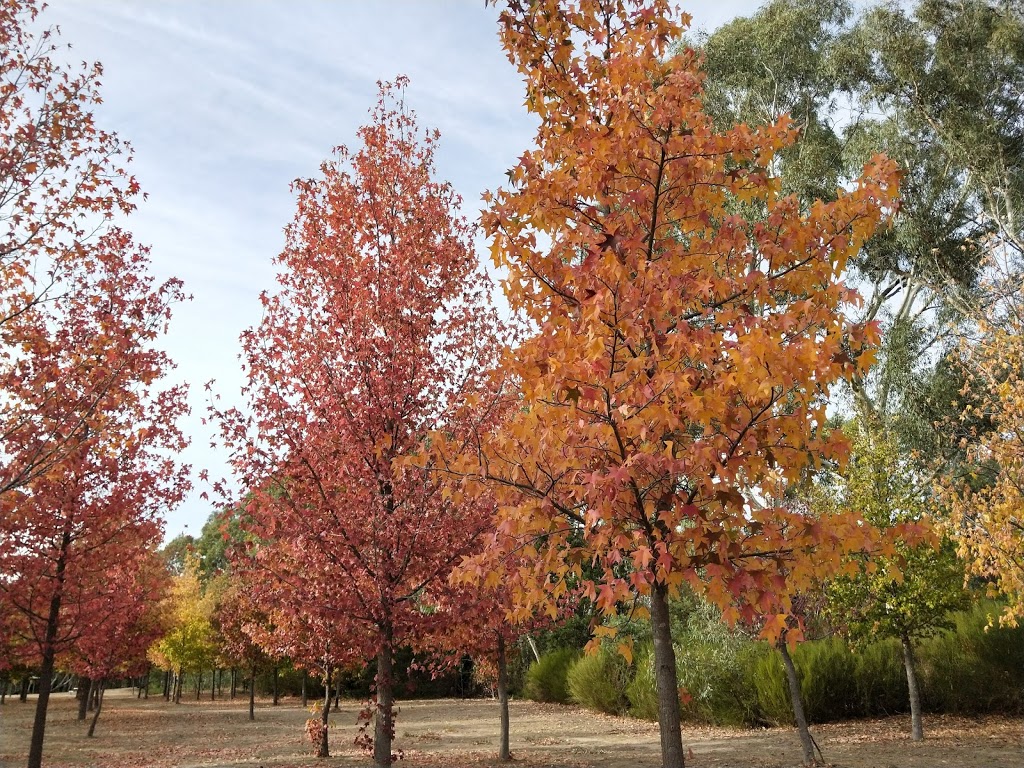 Valley of Liquidambers | park | Heathcote VIC 3523, Australia