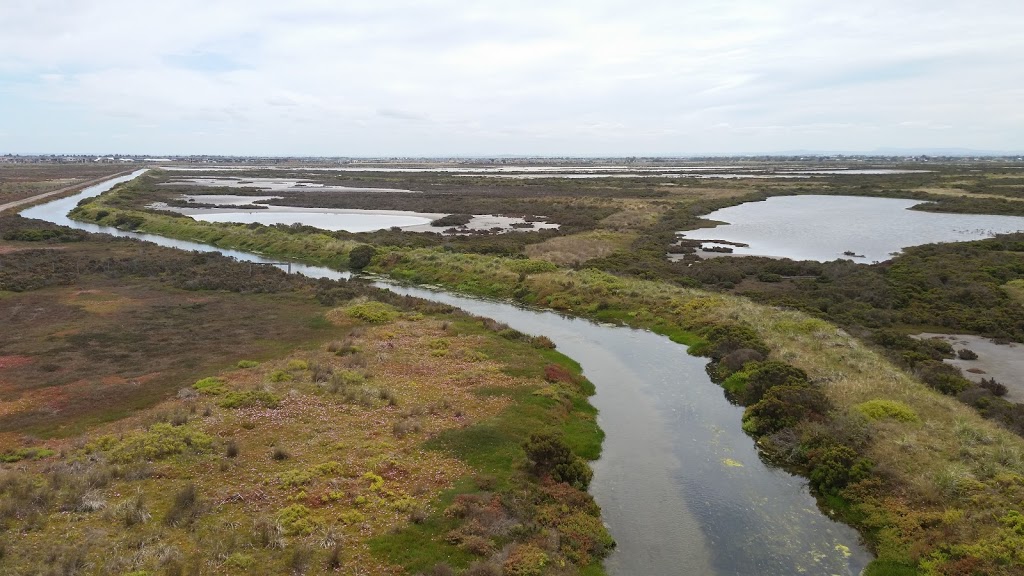 Cheetham Wetlands | Altona Meadows VIC 3028, Australia | Phone: 13 19 63