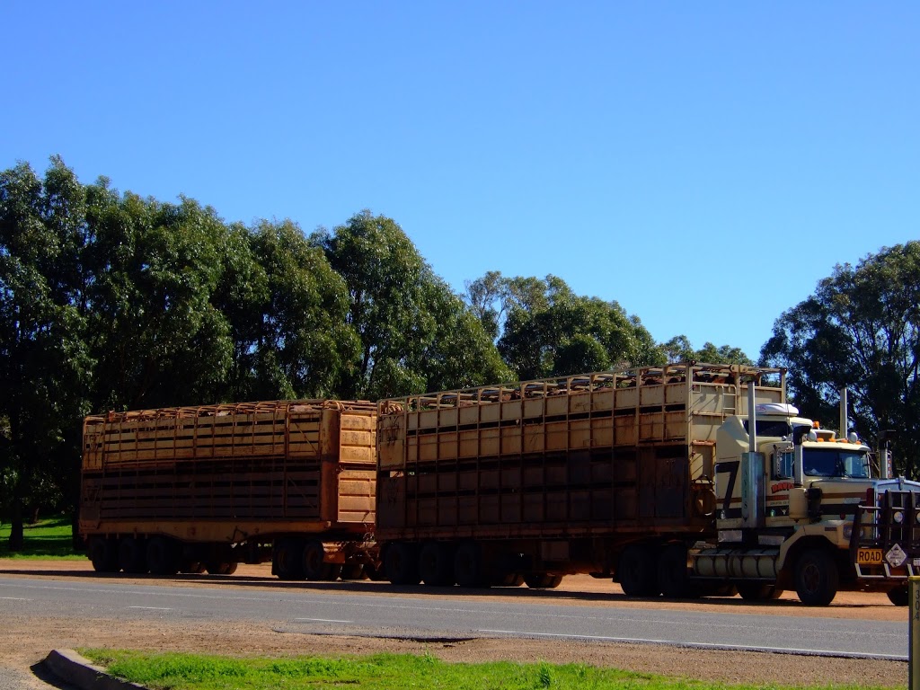 Davis Livestock Transport | moving company | 535 Geraldton-Mount Magnet Rd, Moonyoonooka WA 6532, Australia | 0899233222 OR +61 8 9923 3222
