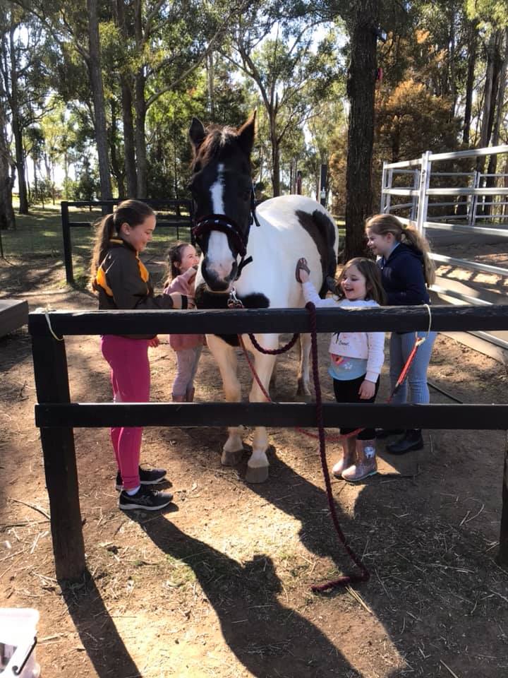Sydney Equine Therapy | school | 47 Mark Rd, Rossmore NSW 2557, Australia | 0452065097 OR +61 452 065 097