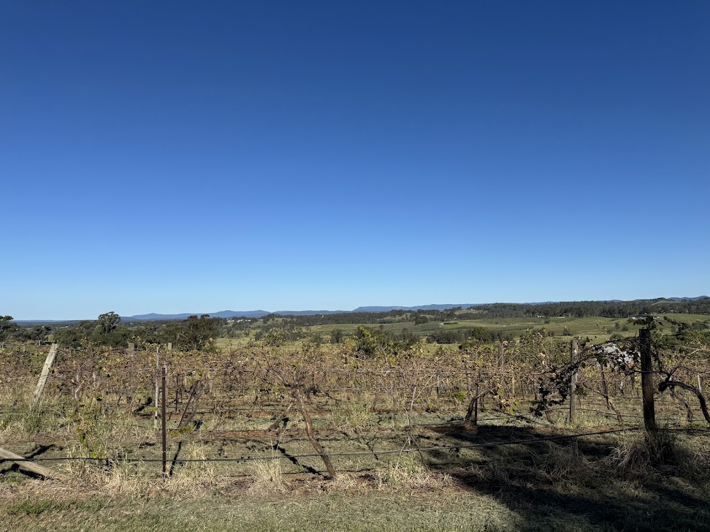 Fig Tree at Ben Ean | 673H+HG, Pokolbin NSW 2320, Australia | Phone: (02) 4993 3700