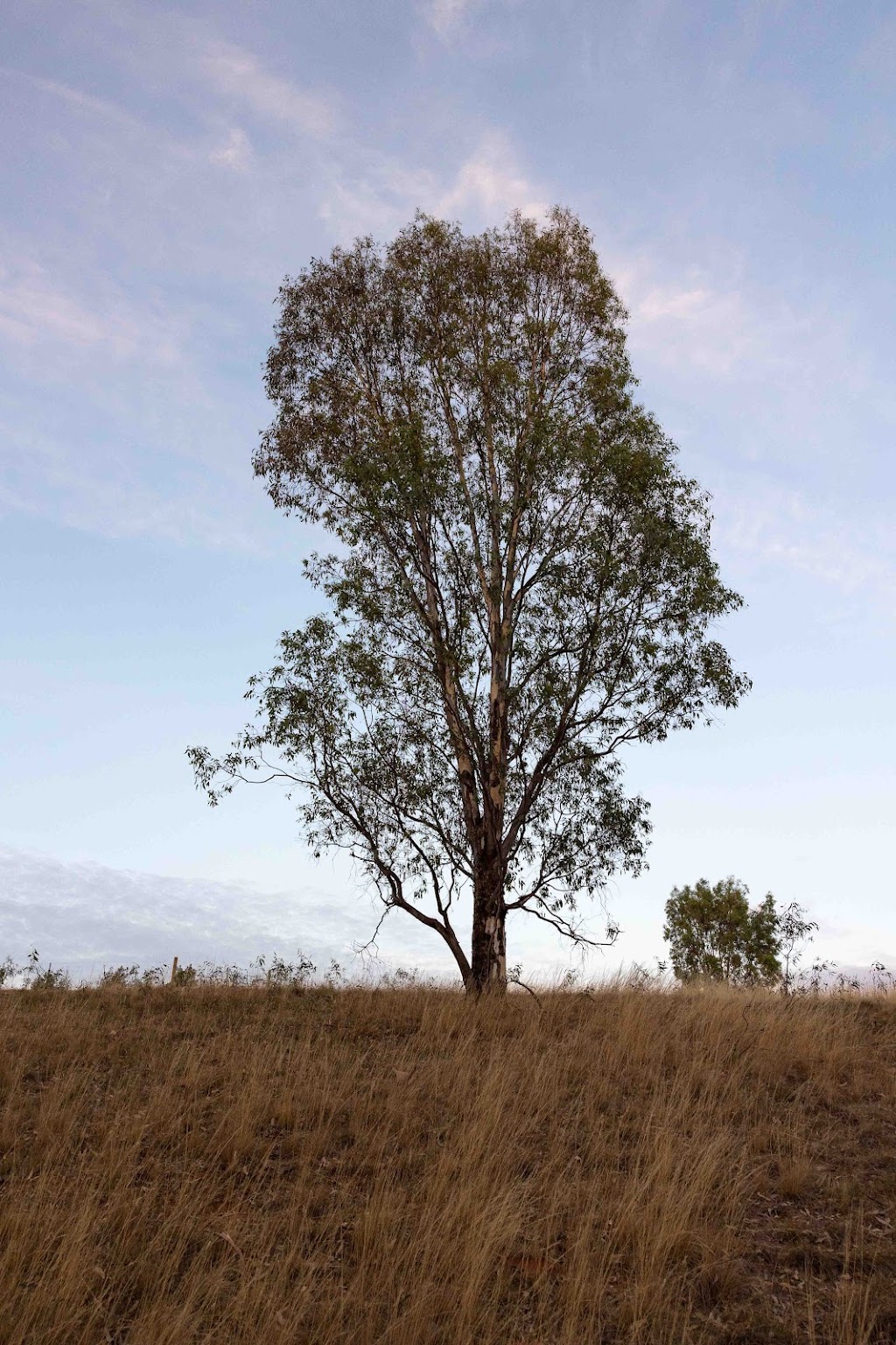 Jacqueline Foley Portraits | 18 Point Rd, Mooney Mooney NSW 2083, Australia | Phone: 0402 473 134