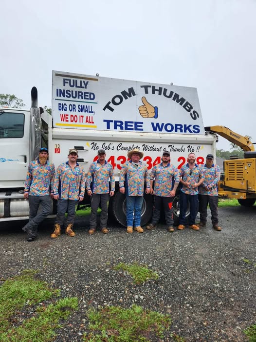 Tom Thumb Tree Works | 190 Woodlands Dr, Wamuran QLD 4512, Australia | Phone: (07) 5429 8318
